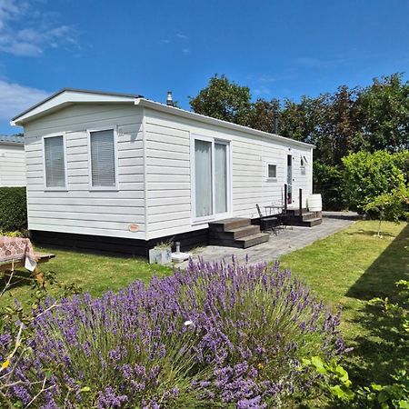 Eldorado Aan Zee Villa Petten Bagian luar foto
