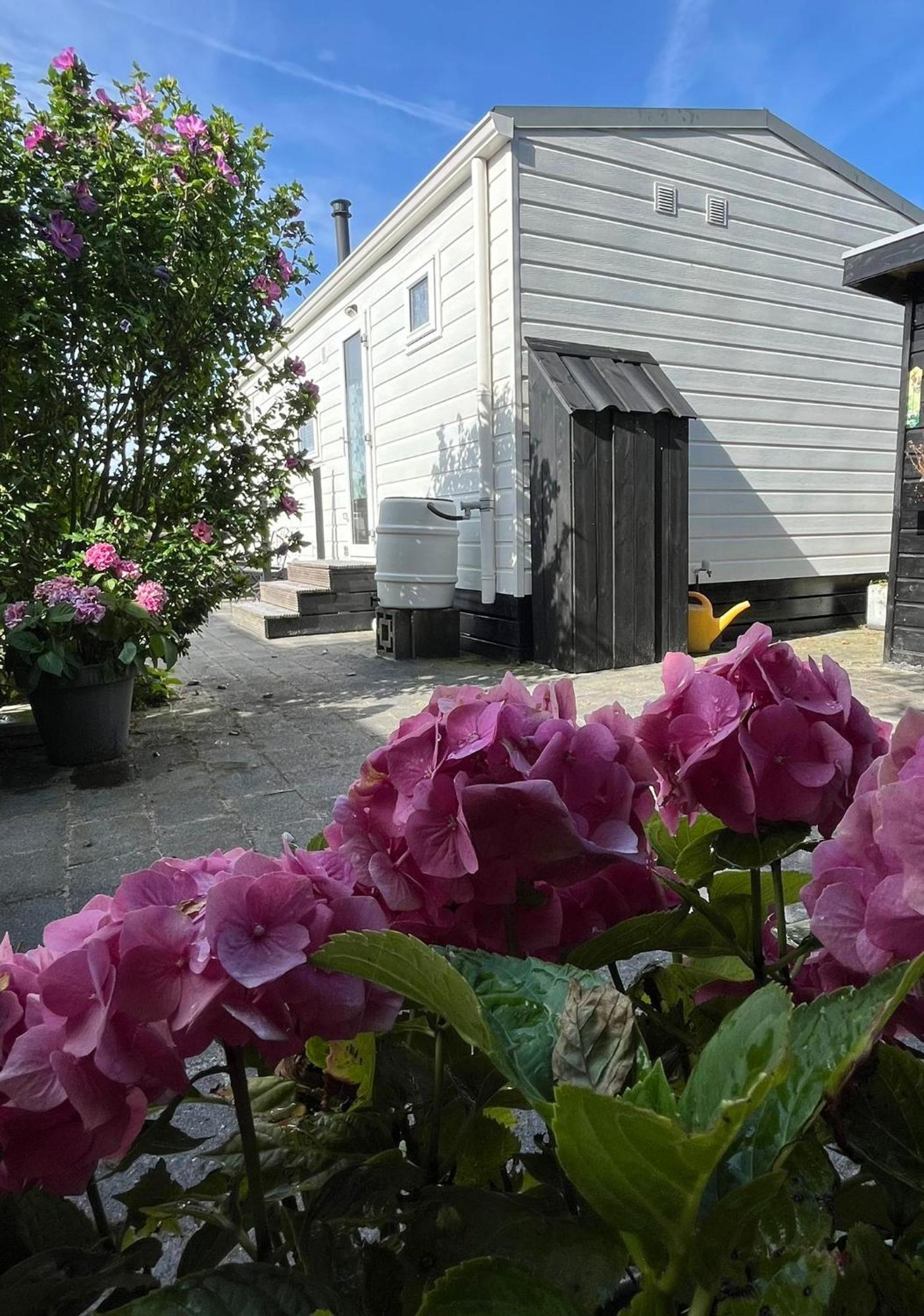 Eldorado Aan Zee Villa Petten Bagian luar foto
